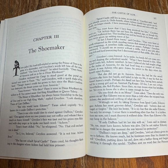 The Prydain Chronicles Hard Back Book - Picture 3 of 5